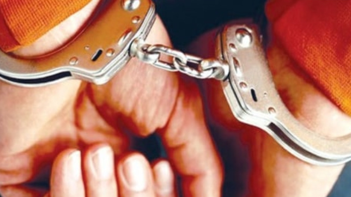 Three People Found In Maharashtra For Copyright Violation Over Use Of Disney Characters without permission