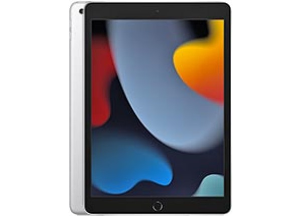 APPLE iPad with Wi-Fi Only