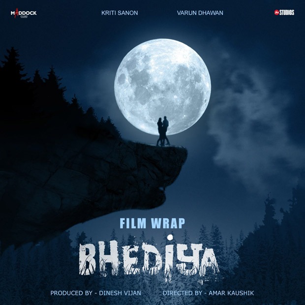 Bhediya Movie Release Date, Cast, and Reviews.
